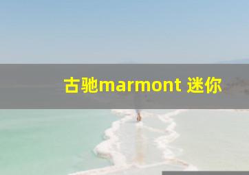 古驰marmont 迷你